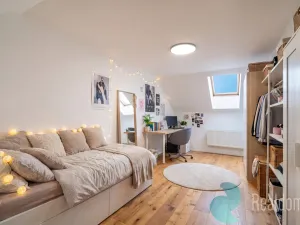Prodej atypického bytu, Trhové Sviny, Nové město, 210 m2