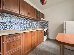 Pronájem bytu 1+kk, Brno - Lesná, Brožíkova, 36 m2
