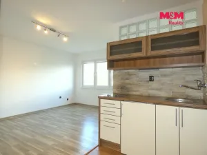 Pronájem bytu 1+kk, Ostrava - Moravská Ostrava, Petra Křičky, 30 m2