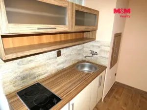 Pronájem bytu 1+kk, Ostrava - Moravská Ostrava, Petra Křičky, 30 m2