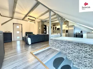 Prodej vícegeneračního domu, Teplice, Štúrova, 304 m2