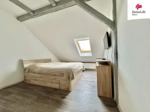 Prodej vícegeneračního domu, Teplice, Štúrova, 304 m2