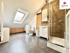 Prodej vícegeneračního domu, Teplice, Štúrova, 304 m2