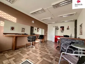 Prodej vícegeneračního domu, Teplice, Štúrova, 304 m2