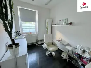 Prodej vícegeneračního domu, Teplice, Štúrova, 304 m2