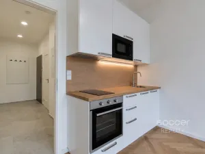 Pronájem bytu 1+kk, Praha - Vinohrady, Vinohradská, 36 m2