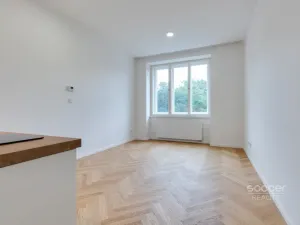 Pronájem bytu 1+kk, Praha - Vinohrady, Vinohradská, 30 m2