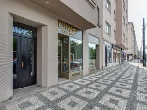 Pronájem bytu 1+kk, Praha - Vinohrady, Vinohradská, 30 m2