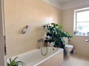 Prodej rodinného domu, Veselí nad Lužnicí, Malé náměstí, 303 m2