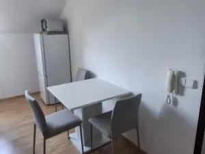Pronájem atypického bytu, Olomouc, Dlouhá, 20 m2