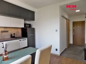 Pronájem bytu 1+1, Ústí nad Labem - Mojžíř, Peškova, 35 m2