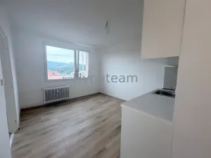 Pronájem bytu 1+1, Ústí nad Labem - Bukov, V Podhájí, 35 m2