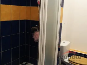 Pronájem bytu 1+1, Opava - Kateřinky, Holasická, 37 m2