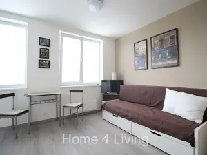 Pronájem bytu 1+kk, Brno, Nad Přehradou, 25 m2