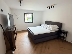 Prodej rodinného domu, Lužice - Svinčice, 224 m2