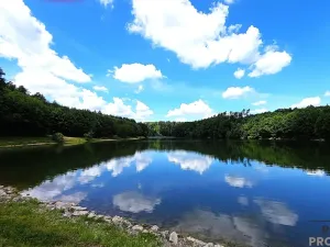 Prodej chaty, Osvětimany, 50 m2