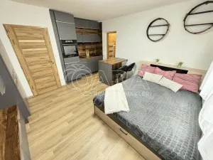 Pronájem bytu 1+kk, Neumětely, Příbramská, 27 m2