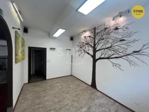 Prodej obchodního prostoru, Ostrava, 30. dubna, 44 m2
