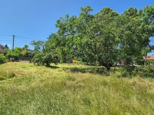 Prodej rodinného domu, Březová-Oleško, 298 m2