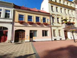 Pronájem bytu 1+kk, Teplice, Lípová, 33 m2