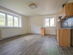 Pronájem bytu 2+kk, Lipová-lázně, 60 m2