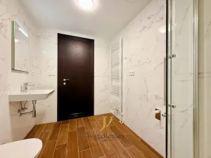 Pronájem bytu 2+kk, Olomouc, Třída Jiřího Pelikána, 46 m2