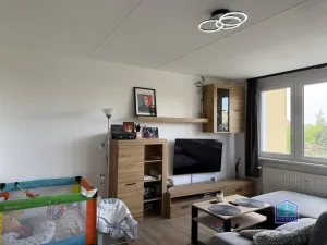 Prodej bytu 2+1, Plzeň - Bolevec, Sokolovská, 63 m2
