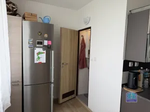 Prodej bytu 2+1, Plzeň - Bolevec, Sokolovská, 63 m2