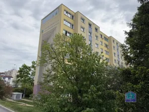 Prodej bytu 2+1, Plzeň - Bolevec, Sokolovská, 63 m2