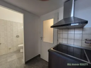Pronájem bytu 1+kk, Praha - Vysočany, Freyova, 21 m2