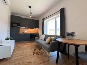 Pronájem bytu 1+kk, Brno, Košinova, 27 m2