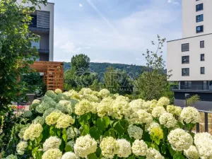 Pronájem bytu 2+kk, Praha - Modřany, Mezi vodami, 55 m2