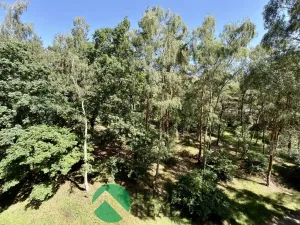 Pronájem bytu 3+1, Chomutov, Kamenná, 75 m2