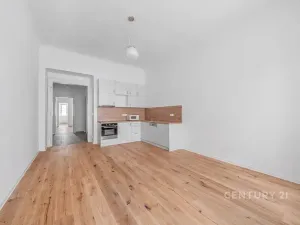 Pronájem bytu 2+kk, Praha - Nusle, Sezimova, 53 m2