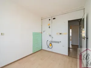 Prodej bytu 3+1, Benátky nad Jizerou, Platanová, 78 m2