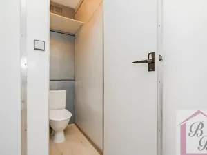 Prodej bytu 3+1, Benátky nad Jizerou, Platanová, 78 m2