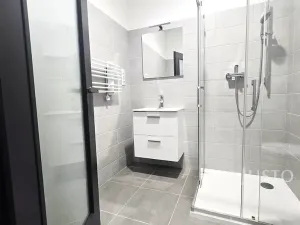 Pronájem bytu 1+1, Písek, Vladislavova, 40 m2