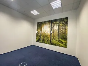 Pronájem kanceláře, Brno - Bohunice, Netroufalky, 500 m2