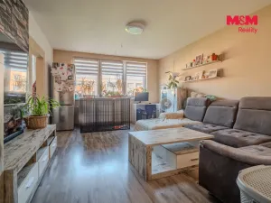 Prodej bytu 3+1, Orlová - Lutyně, F. S. Tůmy, 78 m2