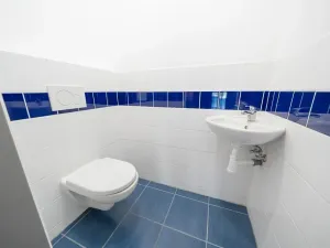 Pronájem obchodního prostoru, Říčany, Černokostelecká, 73 m2