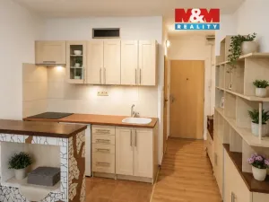 Pronájem bytu 2+kk, Ústí nad Labem - Střekov, Tolstého, 39 m2