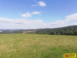 Prodej pole, Velenov, 1032 m2