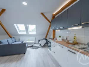 Pronájem bytu 1+kk, Ostrava - Vítkovice, Erbenova, 45 m2
