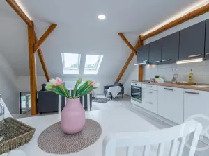 Pronájem bytu 1+kk, Ostrava - Vítkovice, Erbenova, 45 m2