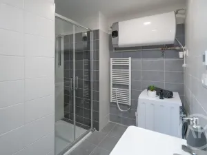 Pronájem bytu 1+kk, Ostrava - Vítkovice, Erbenova, 45 m2