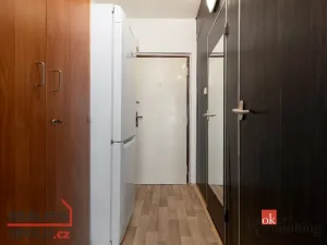 Pronájem bytu 1+kk, Ostrava - Výškovice, Výškovická, 27 m2