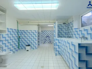 Pronájem rodinného domu, Pustiměř - Pustiměřské Prusy, 230 m2