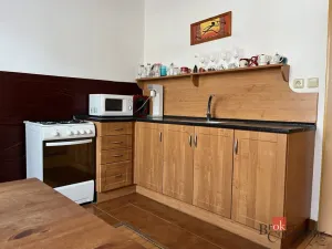 Pronájem bytu 2+kk, Opava - Předměstí, třída Spojenců, 46 m2