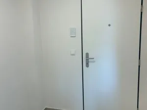 Pronájem bytu 1+kk, Brno - Trnitá, Křenová, 28 m2