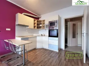 Pronájem bytu 1+kk, Plzeň, K Dolovu, 32 m2